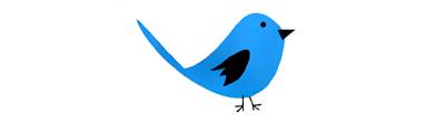 Bluebird Logo Wear